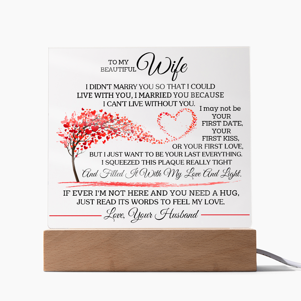 To My Beautiful Wife - I Didn't Marry You So That -  Necklace