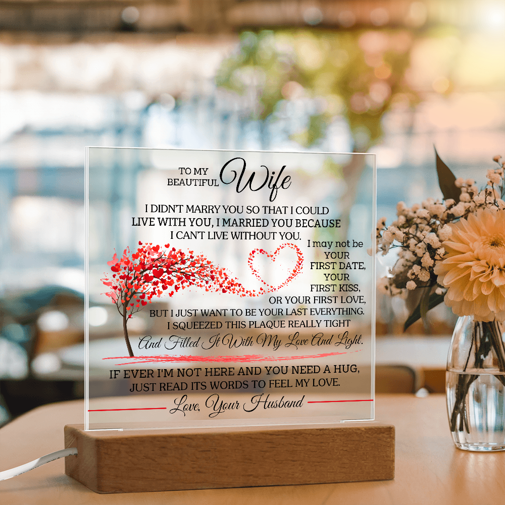 To My Beautiful Wife - I Didn't Marry You So That -  Necklace